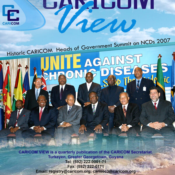 Artwork Caricom View